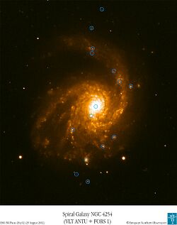（渦巻き銀河 NGC4254の写真）