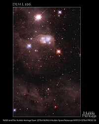 （反射星雲 DEM L106の写真）