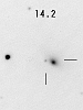 （超新星SN2003cgの写真 2）