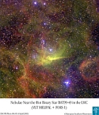 （散光星雲BAT99-49の写真）