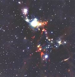 （NGC1333の赤外線画像）
