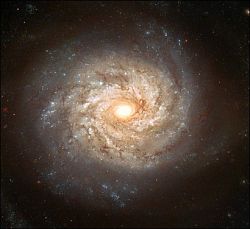 （NGC3982の写真）