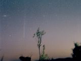 （藤井恒徳氏撮影のブラッドフィールド彗星の写真）