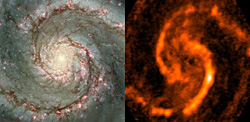 （渦巻き銀河 M51の画像）