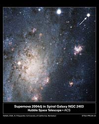 （超新星2004djの画像）