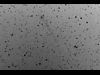 （ニート彗星 C/2001 Q4の写真 2）