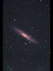 （NGC 253の写真）
