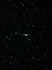 （NGC 1023の写真）