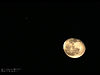 （月と木星の接近の写真）
