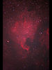 （北アメリカ星雲、ペリカン星雲の写真）