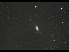 （NGC 2903の写真）