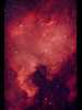 （北アメリカ星雲（NGC7000）の写真）