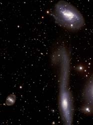 （MCG-01-39-003、NGC 5917、SN 2005cfの画像）