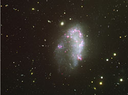 （NGC 1427Aの画像）