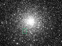 （NGC 6397全体の画像）