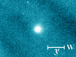 （スワン彗星（C/2006 M4）の写真）