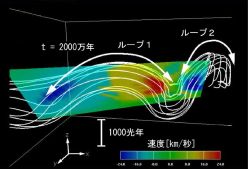 （磁気流体力学を用いた2次元数値解析シミュレーションで再現された2つのループ）
