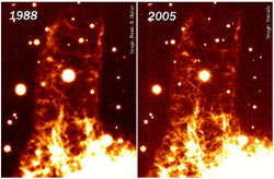 （かに星雲の変化、1988年と2005年の変化）