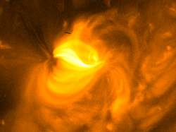 （XRTとらえた太陽活動領域上空のコロナの画像）