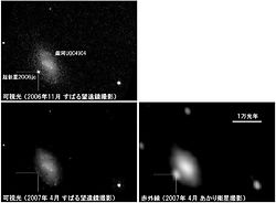 （銀河UGC 4904と超新星2006jcの画像）