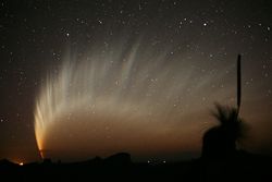（マックノート彗星（C/2006 P1）の画像）