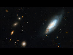 （かみのけ座銀河団に存在する渦巻き銀河IC 4040の画像）