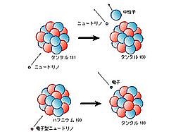（ニュートリノと原子核との相互作用による新しい同位体の生成模式図）