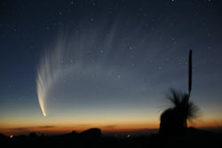 （豪・サイディングスプリング天文台で撮影されたマックノート彗星（C/2006 P1）の画像）