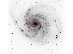 （銀河M101の白黒反転画像（四角内が軟X線源））