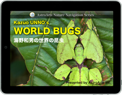 iPad専用アプリ「海野和男の世界の昆虫」画面