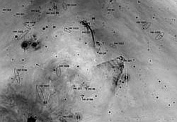 （すばる望遠鏡がとらえた分子雲「Lynds 1641」の画像）