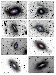 （小さな銀河が飲み込まれた痕跡が見られた、8つの渦巻銀河の画像）