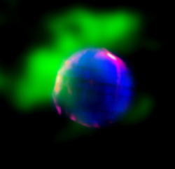 ティコの超新星残骸の多波長合成画像