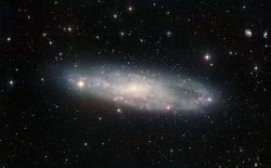 （NGC 247の可視光写真）