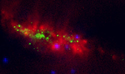 （3つの波長データを合成したM82銀河の画像）