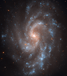 （銀河NGC 5584の画像）
