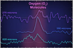 酸素分子の存在を示すスペクトル図