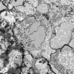 分析した炭酸塩の電子顕微鏡写真
