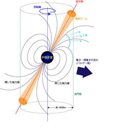 パルサー周辺の磁気圏と光円柱の模式図
