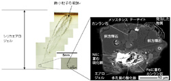 シリカエアロジェル内の光学顕微鏡写真と「Hoshi」の拡大写真