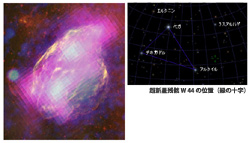 わし座の超新星残骸W44