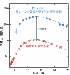 PS1-10afxの出現後の光度変化を、通常のIa型超新星と比較