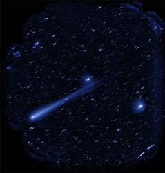 11月5日にすばる望遠鏡がとらえたアイソン彗星