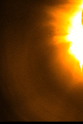 衛星「ひので」が撮影した太陽のX線像