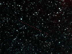 NEOWISEがとらえた小惑星ホルダ