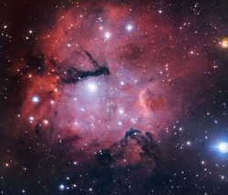 ガム15星雲