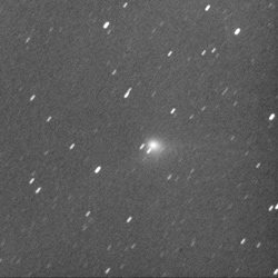 7月16日未明（日本時）撮影のジャック彗星