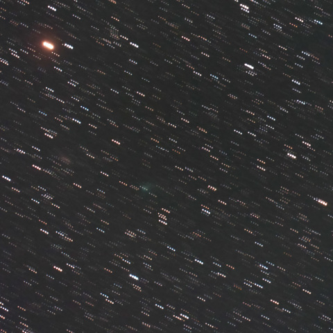(カテリナ彗星(20…)