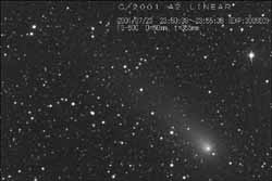 瀧本 郁夫氏撮影のリニア彗星