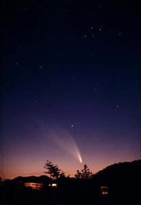 （澤田和久氏撮影のウェスト彗星の写真）